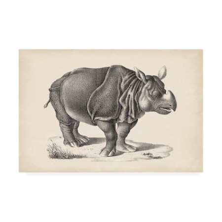 Brodtmann 'Brodtmann Rhinoceros' Canvas Art,22x32